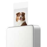 Xiaomi Portable Photo Printer Pro